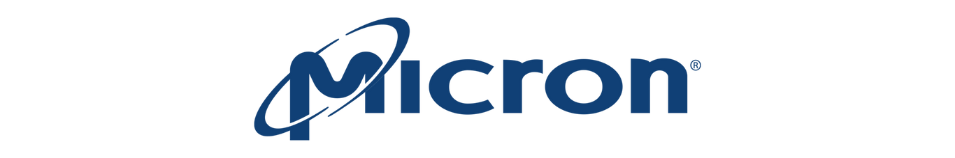 Micron Logo