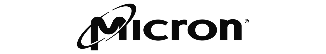 Micron Logo